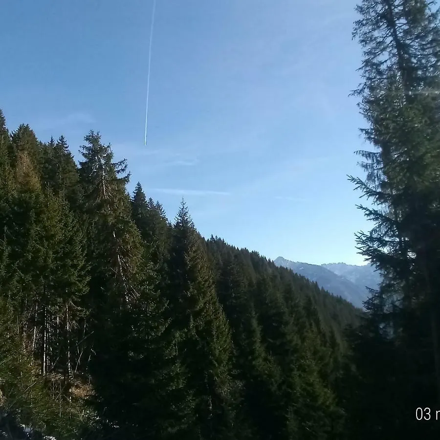 Appartamento Da Nicola e Laura Santo Stefano Di Cadore 0*,  Italia